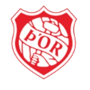 托尔提克沃尔斯U19