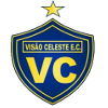 维肖西莉斯特青年队logo
