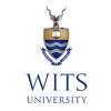 維斯大學