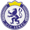 SFM森纳克
