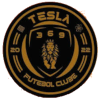 FC特斯拉logo