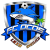 奥科斯FC